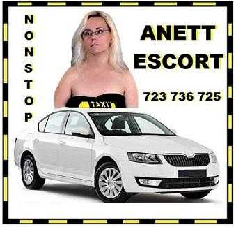 escort i sex ve Tvém autě